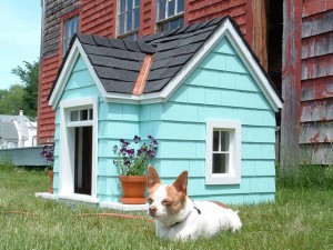 dog house 2
