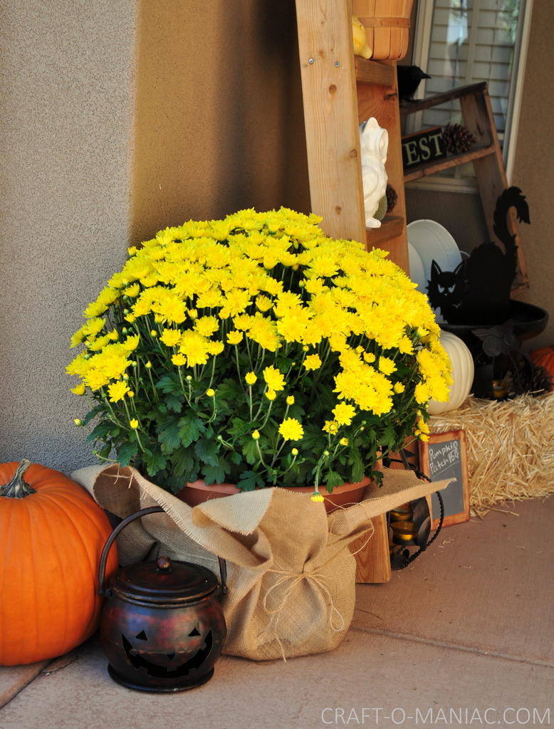 fall porch with mums