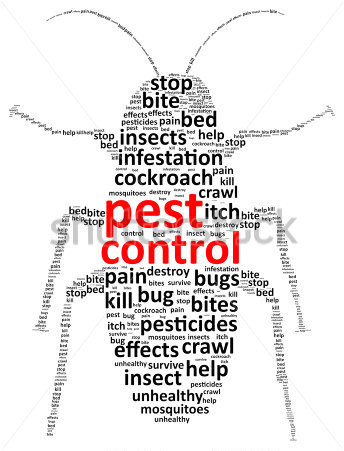 DIY pest control image